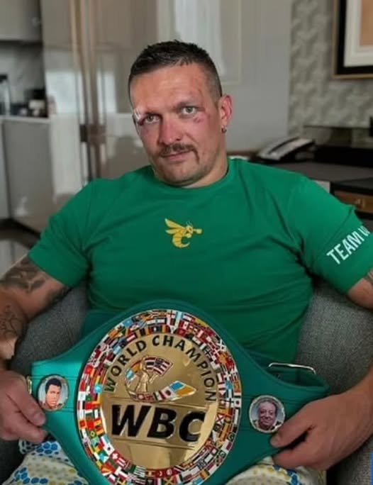 Oleksandr Usyk. Graphic