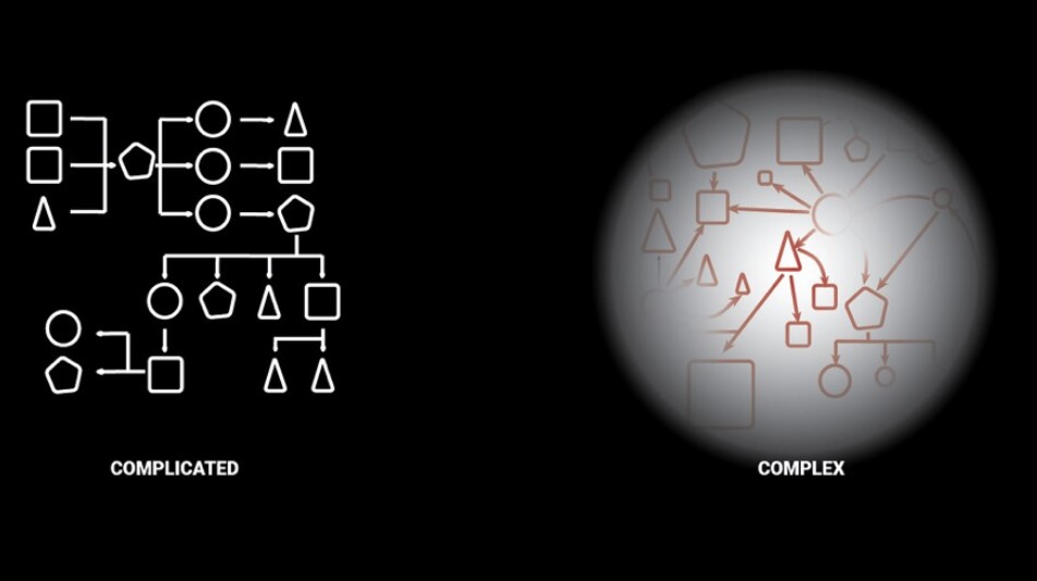 Complicated Systems vs. Complex Systems. Graphic