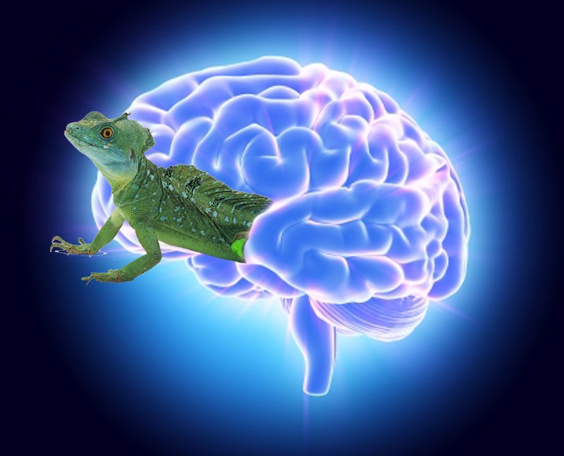 Lizard Brain. Graphic